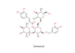 Echinacosid