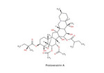 ProtoveratrinA