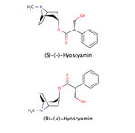 Hyoscyamin