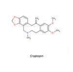 Cryptopin