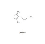 Jasmon