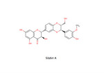 SilybinA