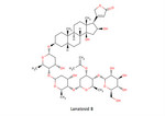 LanatosidB