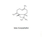 CaryophyllenBeta