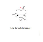 CaryophyllenepoxidBeta