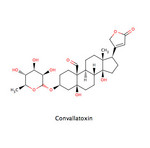 Convallatoxin