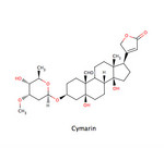 Cymarin