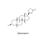 Digitoxigenin