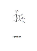 Fenchon