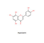 Hypolaetin