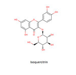 Isoquercitrin