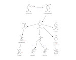 Monoterpene 2
